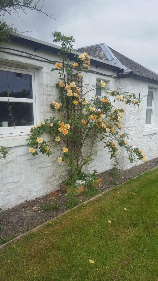 Barcloy Honey House Vila Kirkcudbright Exterior foto